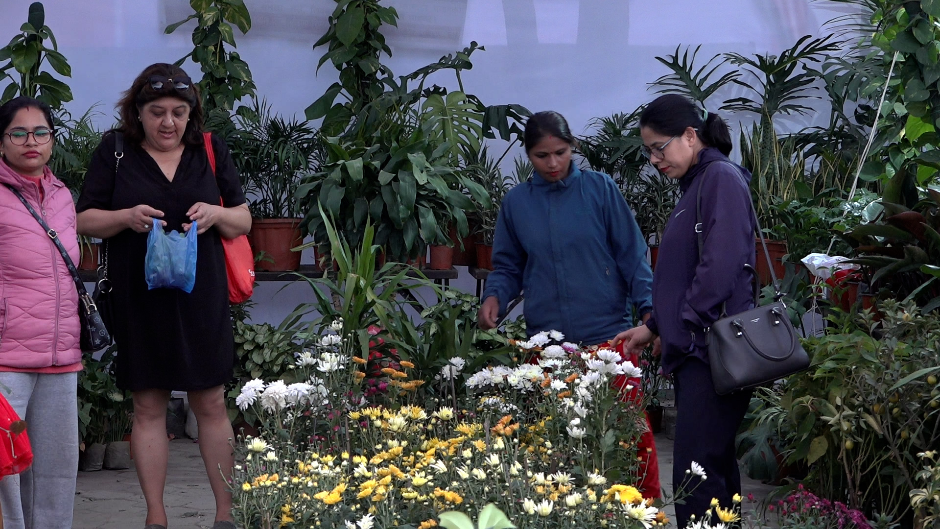 फ्लोरा एक्स्पो’मा  उत्साहजनक कारोबार