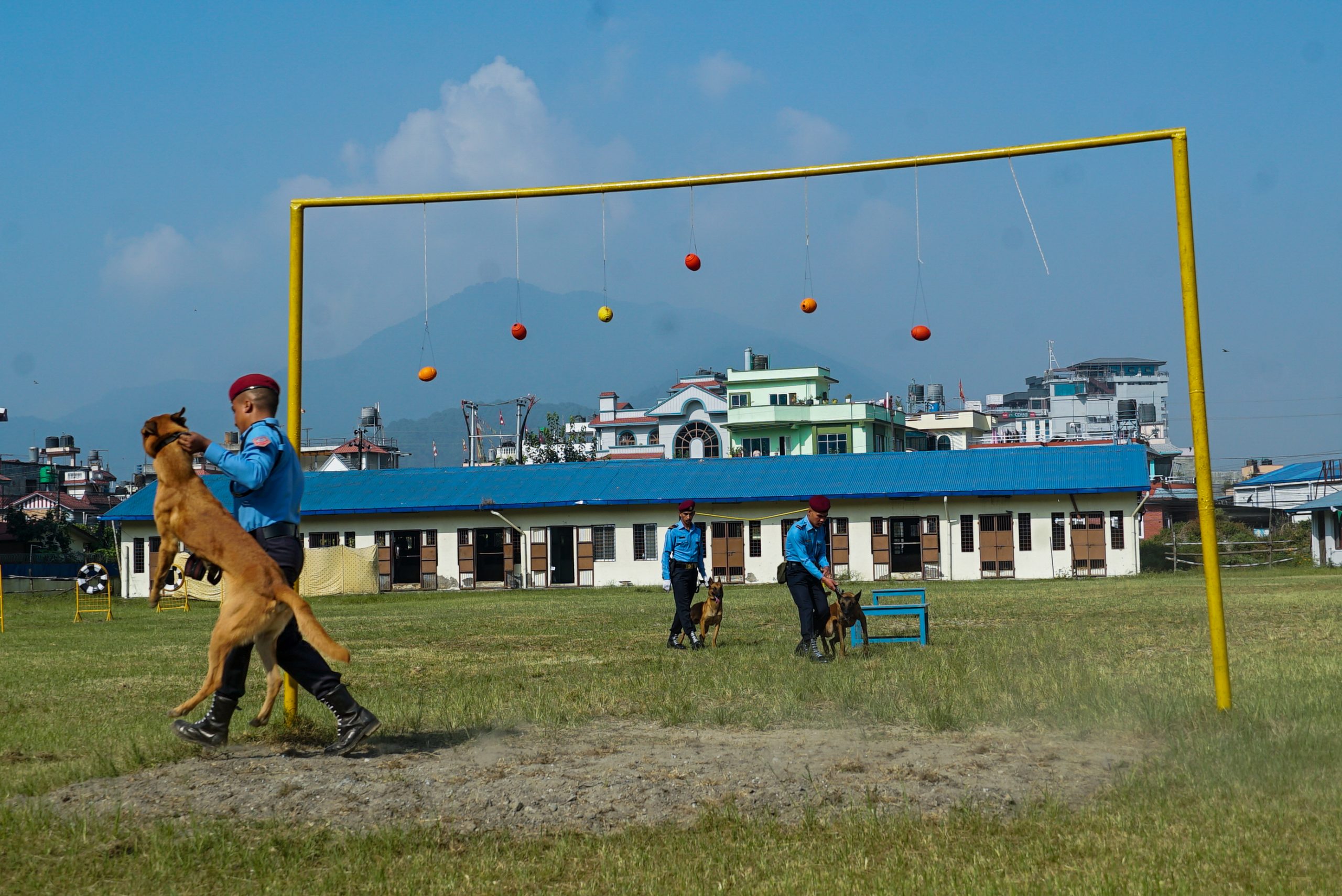 प्रहरीको कुकुर पूजा 