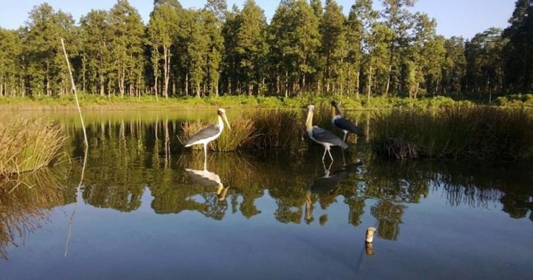 विश्व सिमसार दिवस मनाइँदै