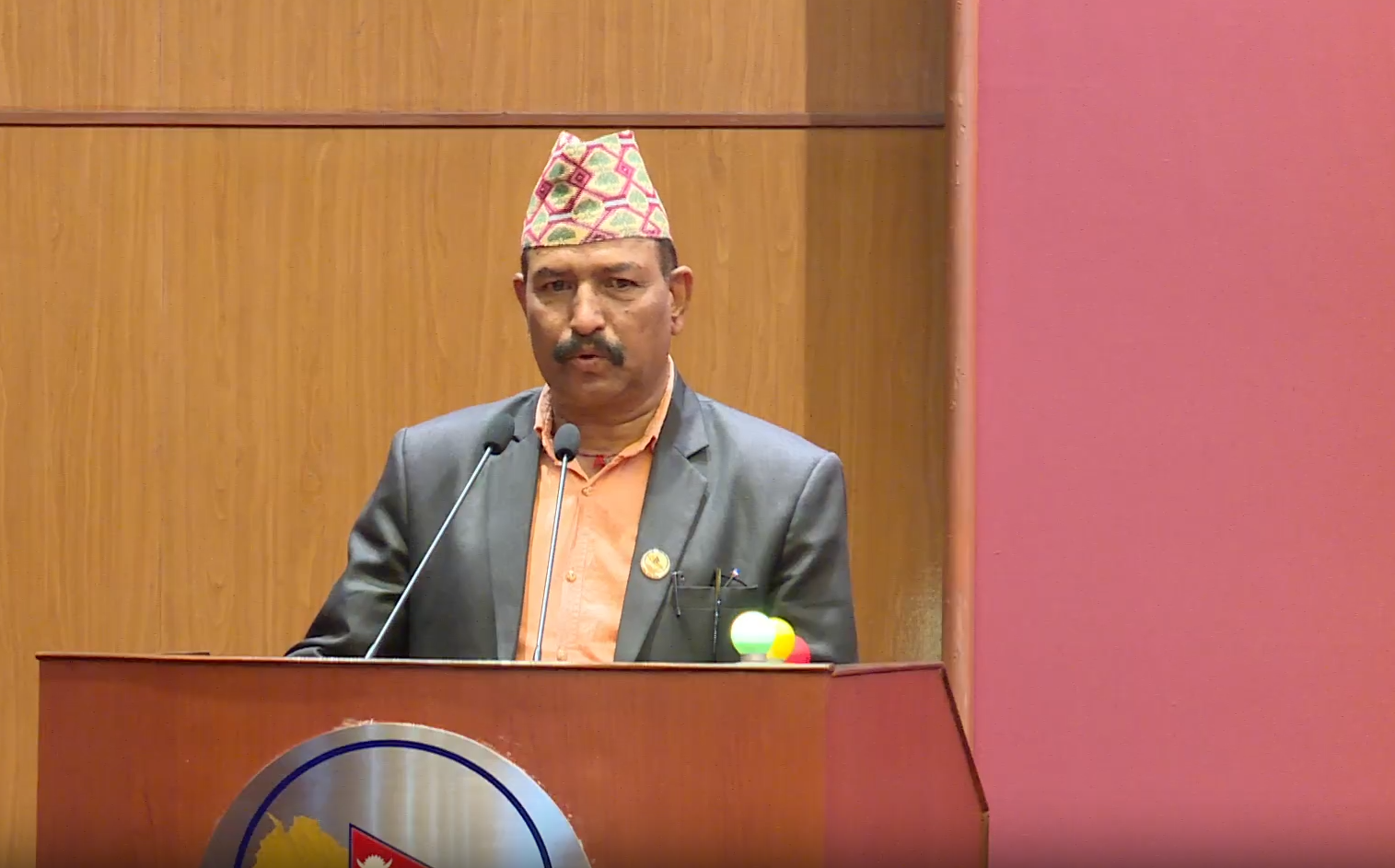 राष्ट्रिय सभा बैठकमै ढले कांग्रेस सांसद, उपचार चल्दै