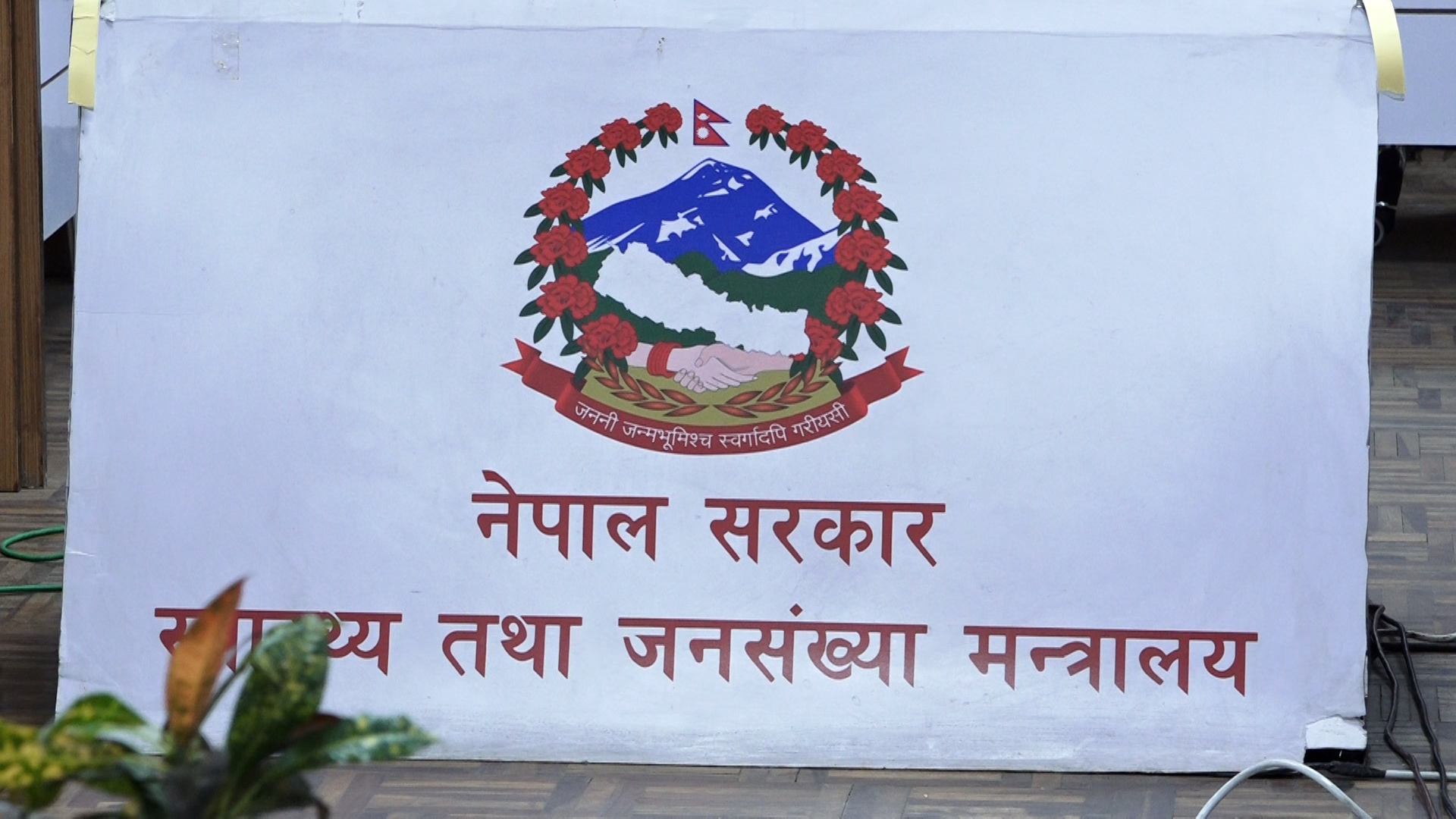 स्वास्थ्य बीमा सुधार सुझाव कार्यदलले बुझाएको प्रतिवेदन सार्वजनिक