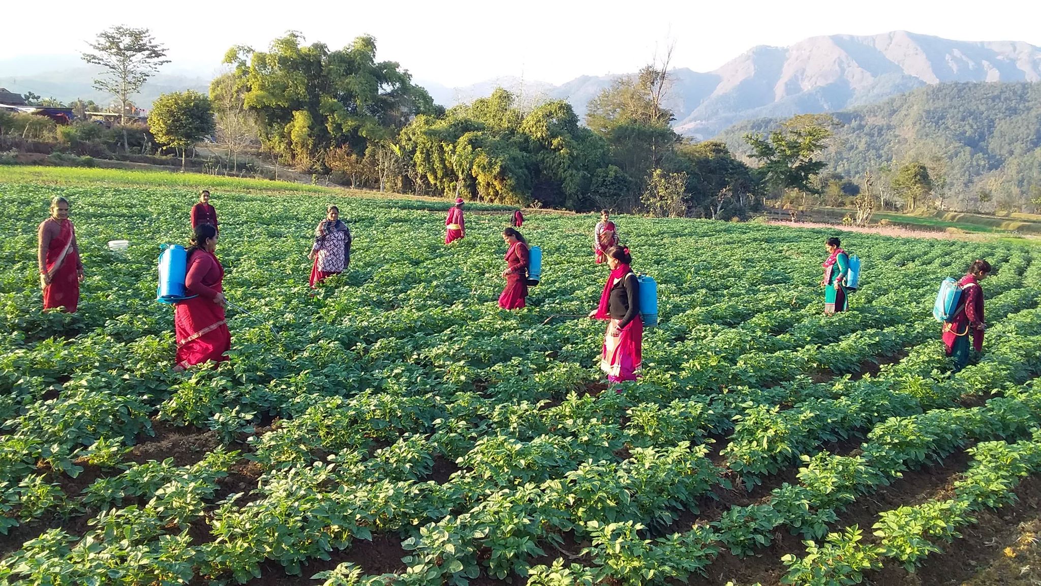 ४ वर्षमा २० लाख ७० हजार किसान सूचीकृत