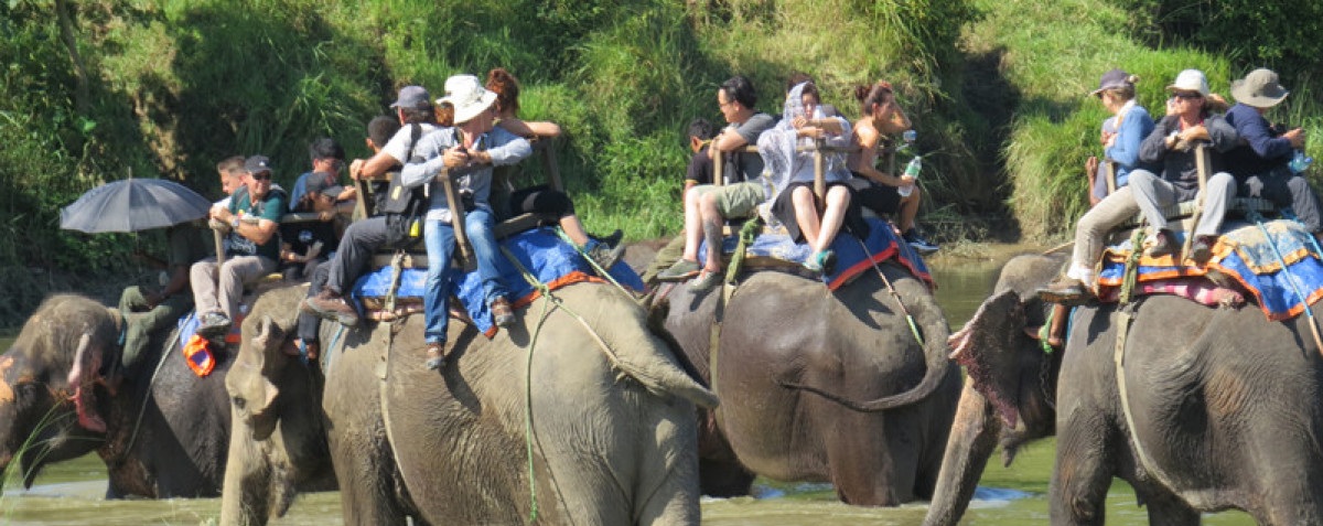 सौराहाको हात्ती सफारी व्यवस्थित गर्न माहुतेलाई प्रशिक्षण