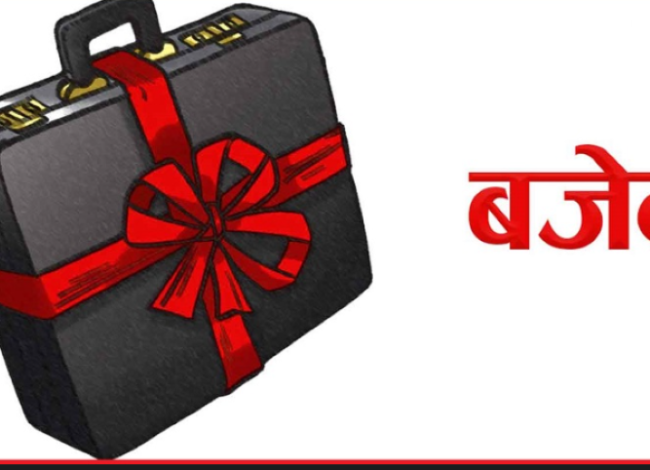 बजेटमा आमनागरिकको सुझाव समेट्ने उद्देश्यसहित ‘सुझाव सङ्कलन पोर्टल’ सञ्चालनमा