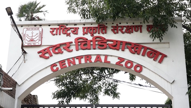 सदर चिडियाखाना  ७ बजेदेखि नै खुला. प्रवेश शुल्क ७५ रुपैयाँ
