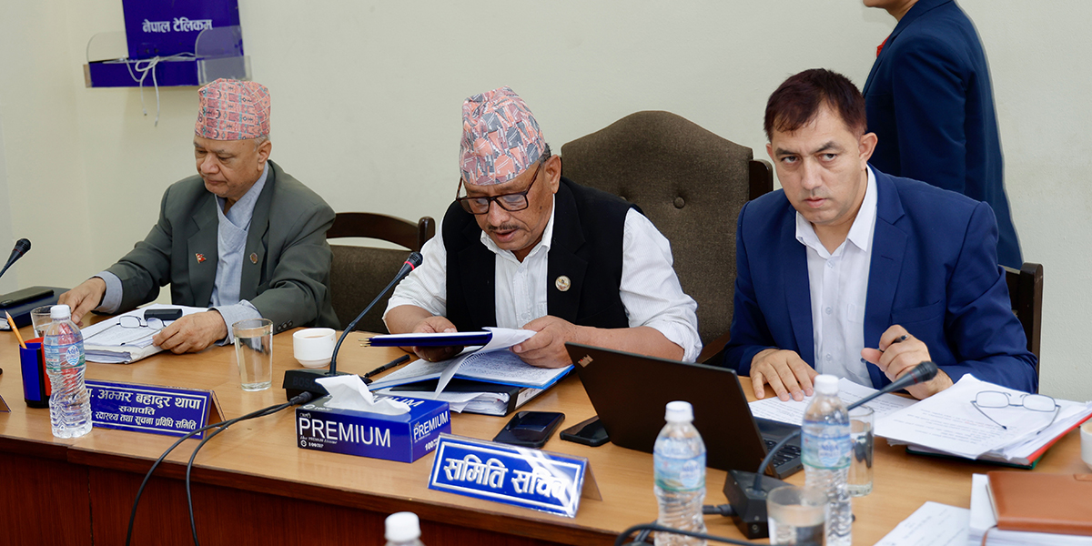 विद्यालय शिक्षा विधेयकमा जुट्यो सहमति