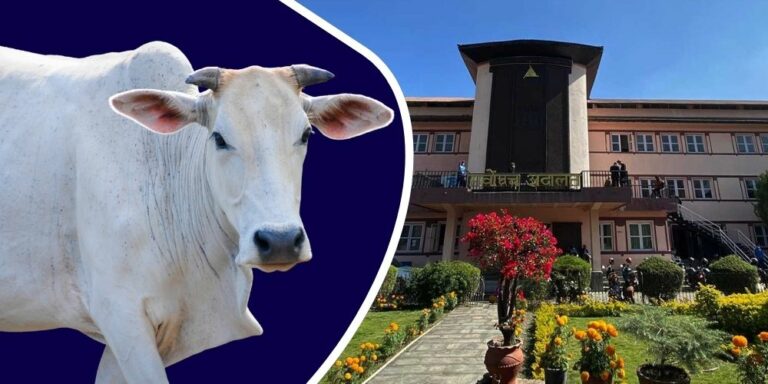 गाई संरक्षणको लागि सर्वोच्चद्धारा परमादेश जारी