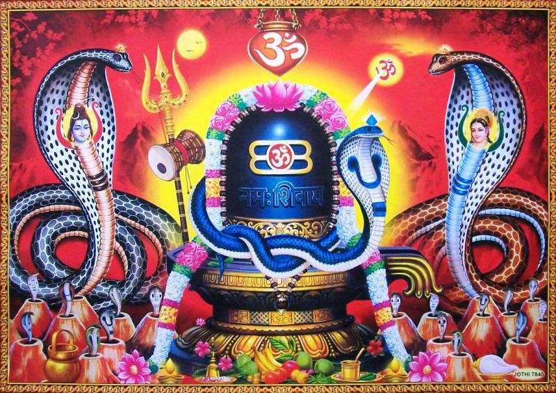 आज देशभर नाग पञ्चमी मनाइँदै