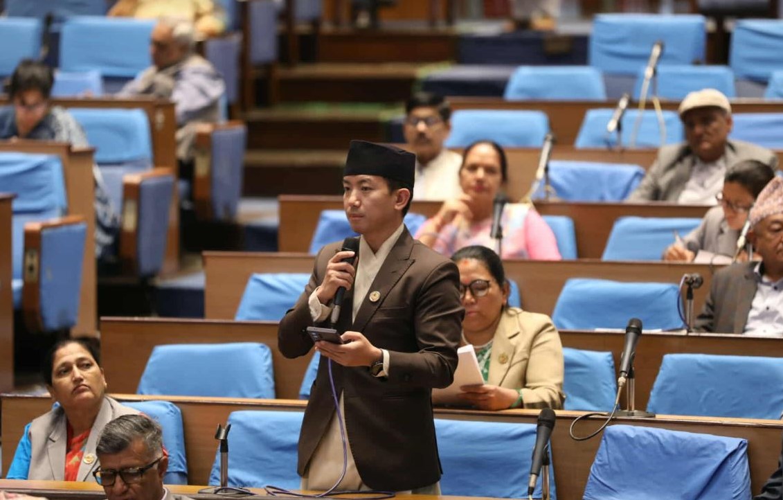 संसदमा सुहाङले उठाए एम्बोस्ड नम्बर प्लेटको औचित्यमाथि प्रश्न