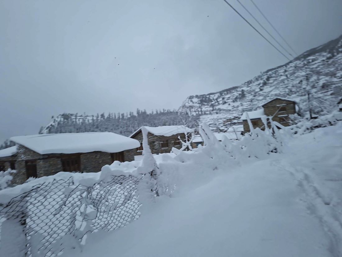 हुम्लामा भारी हिमपात हुँदा रमाए किसान