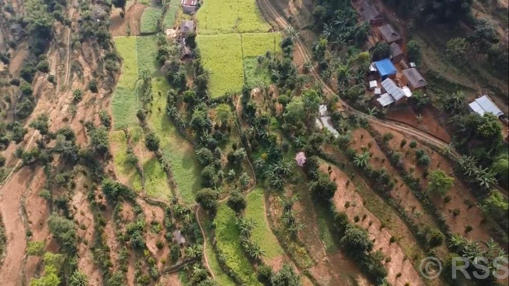 व्यावसायिक फलफूलखेतीतर्फ भुल्केका किसानको आकर्षण