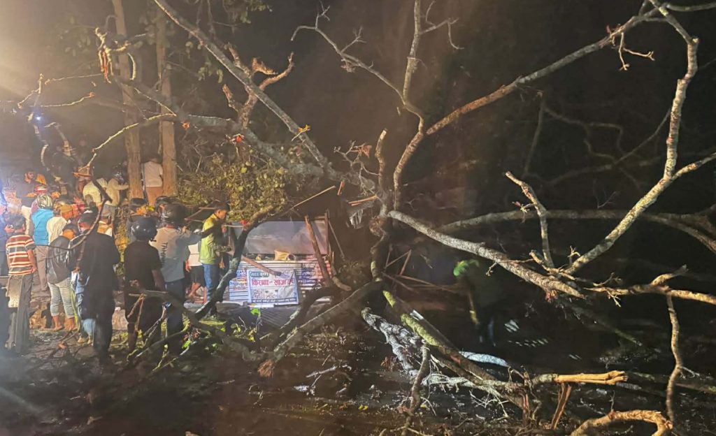 हावाहुरीले रुख ढल्दा उदयपुरको कटारीमा २ जनाको ज्यान गयो, ५ घाइते