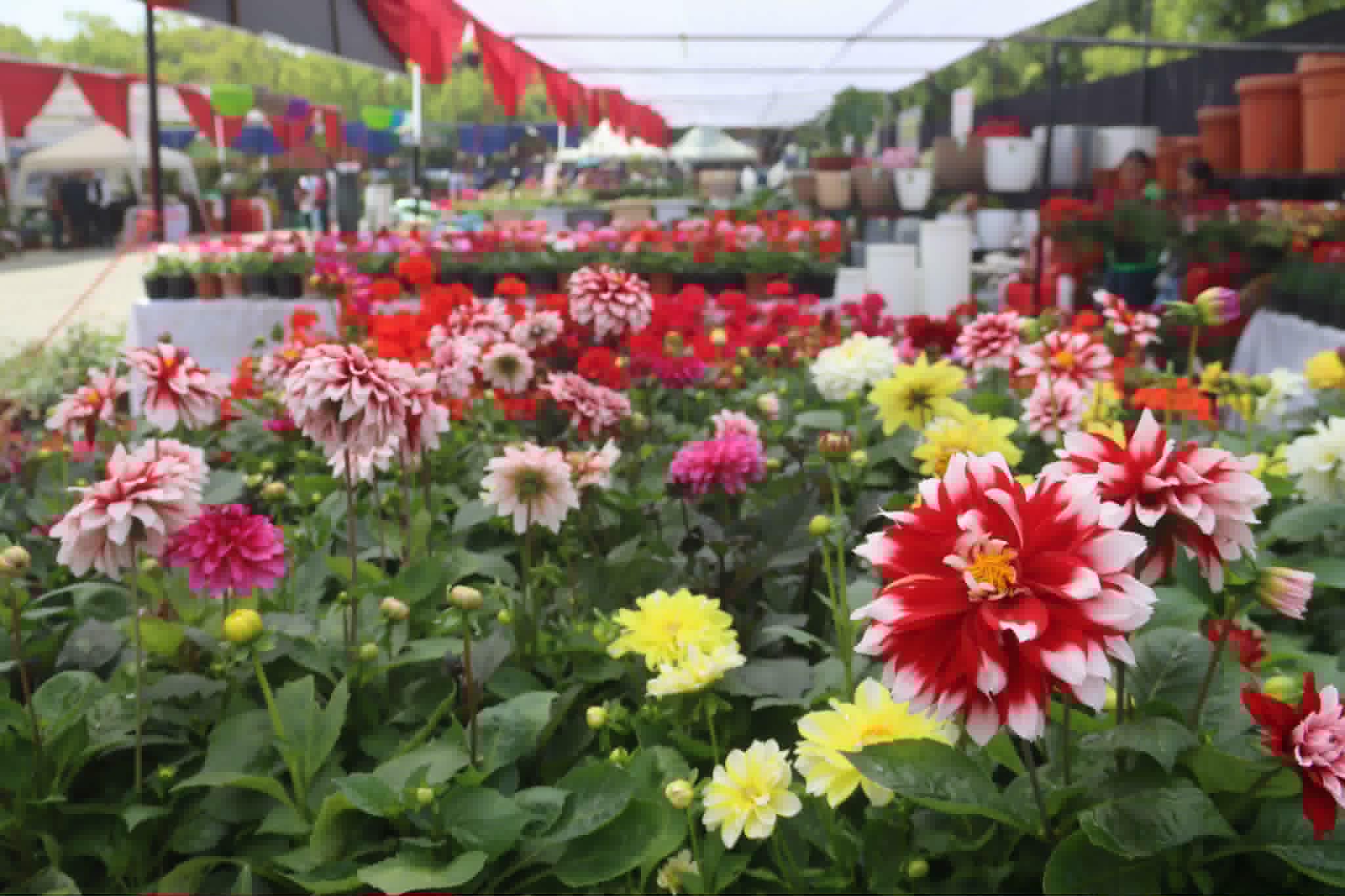 १ करोड ६० लाख कारोबारसंगै तेश्रो हर्टीकल्चर  एक्स्पो सम्पन्न ।