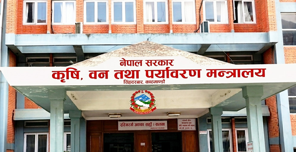 कलकत्ता बन्दरगाहमा ३० हजार मेट्रिक टन युरिया मल आइपुग्यो, नेपालतर्फ आपूर्ति तीव्र
