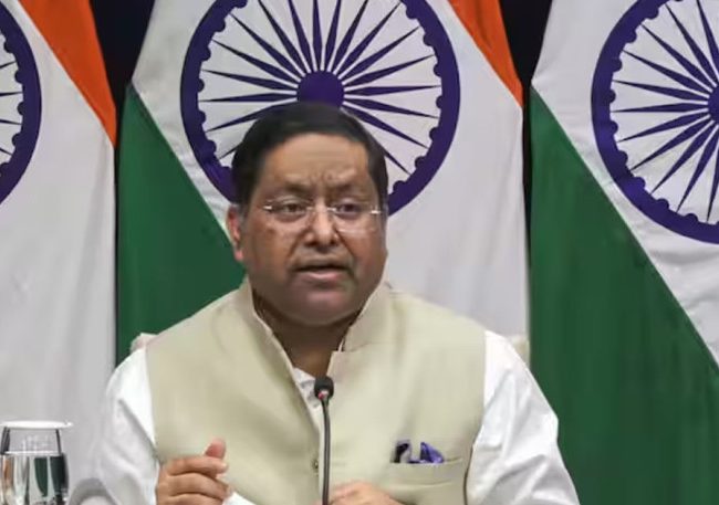 बाढीले भत्काएका पुल पुनर्निर्माण गर्न नेपाललाई भारतले बेलिब्रिज पठाउने