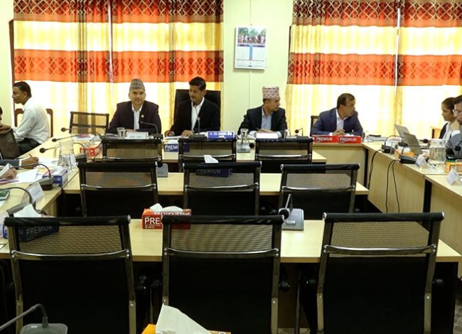 राजदूत सुनुवाइ प्रक्रिया अघि बढ्यो: उजुरी खोल्न र कार्ययोजना बाँड्न आज संसदीय समिति बस्दै